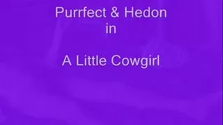 Cowgirl Action - BBW Rides Skinny Man