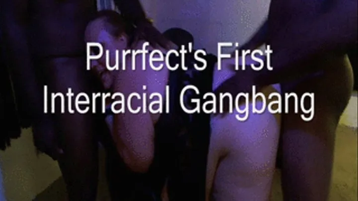 Purrfect's First Interracial Gangbang