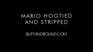 Mario Hogtied and Stripped