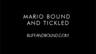 Mario Bound and Tickled featuring Frank The Tank