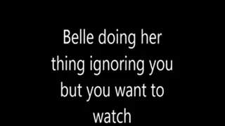 Belle doing her thing ignoring you but you want to watch