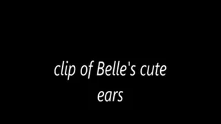 clip of Belle's cute ears