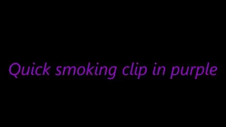 Quick smoking clip in purple