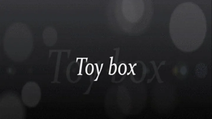 Toy box