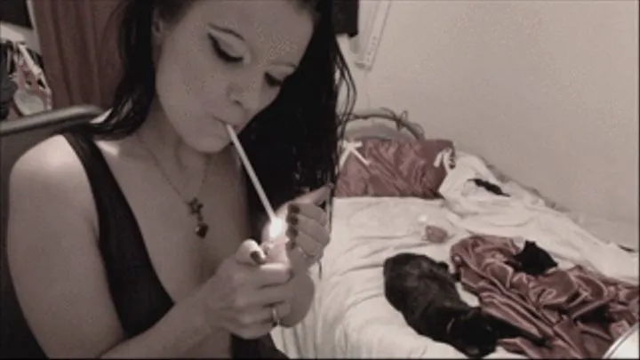 black teddy smoking video