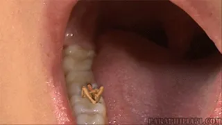 Between My Teeth