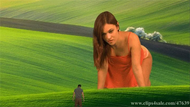 Field Of Dreams - (640x480)