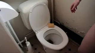 Cleaning toilets!