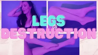 LEGS OF DESTRUCTION