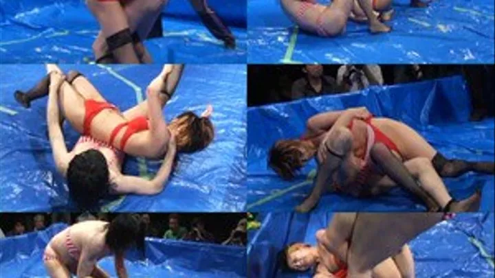 Bikini Babes Battle Royale! - Full version - CPD-099 (Faster Download)