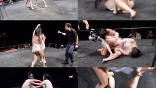 Wild Catfight: No Clothes Edition - Part 2 (Faster Download)