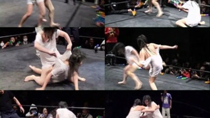 Wild Catfight: No Clothes Edition