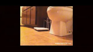 Toilet Voyeur