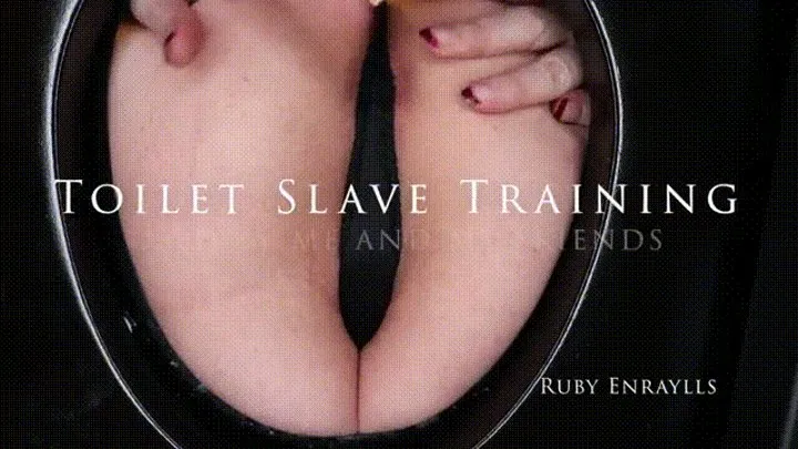 My Party Toilet - Toilet Slave Training