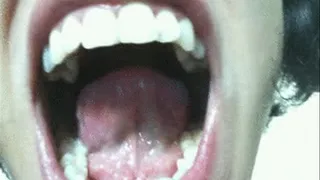 Tongue Serie 3