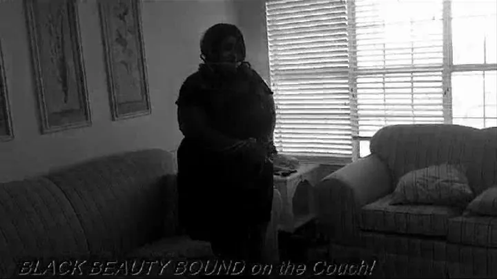 Big Black Beauty Bound and struggling Black and white clip