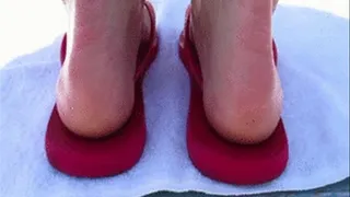 Penny's Flip-Flops at Ground Level Close-Up