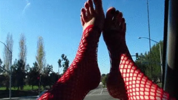 Tammy's Fishnets On The Windshield