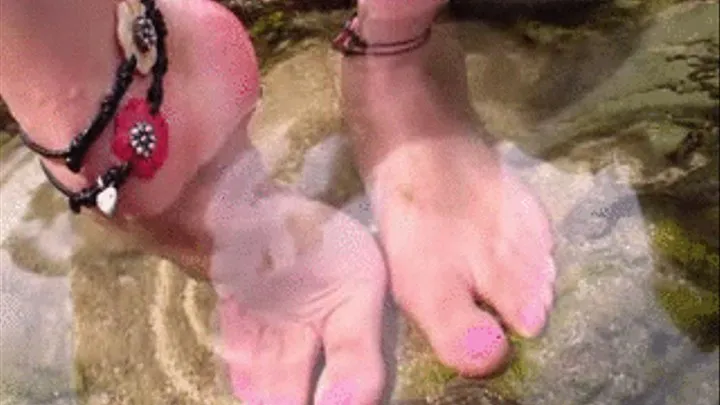 Tammy's Submerged Arches at the Beach