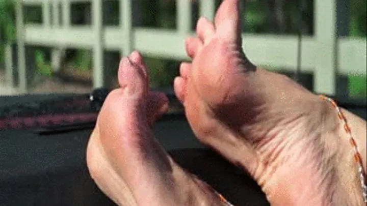 PENNY'S GOLDEN DELICIOUS TOES AND ARCHED SOLES ON THE WINDSHIELD