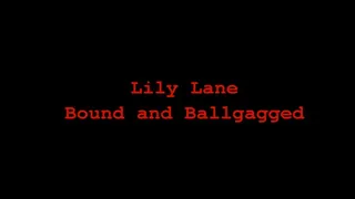 Lily Lane Bound and Ballgagged