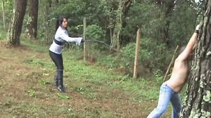 Outdoor Bullwhipping by Krystall