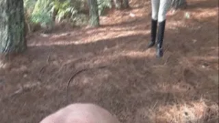 Best 2 Minutes from 100 bullwhip lashes under Kalindas whip