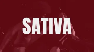 SEXBATTLE RING - BOUT #26 - THE SERIAL BALLBUSTER - SATIVA in !