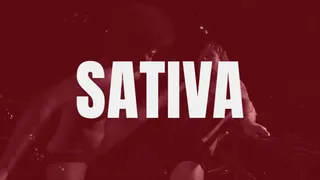 SEXBATTLE RING - BOUT #26 - THE SERIAL BALLBUSTER - SATIVA!