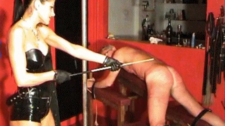 Caned, Electrocuted and Bullwhipped