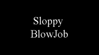 42713C Sloppy Blowjob