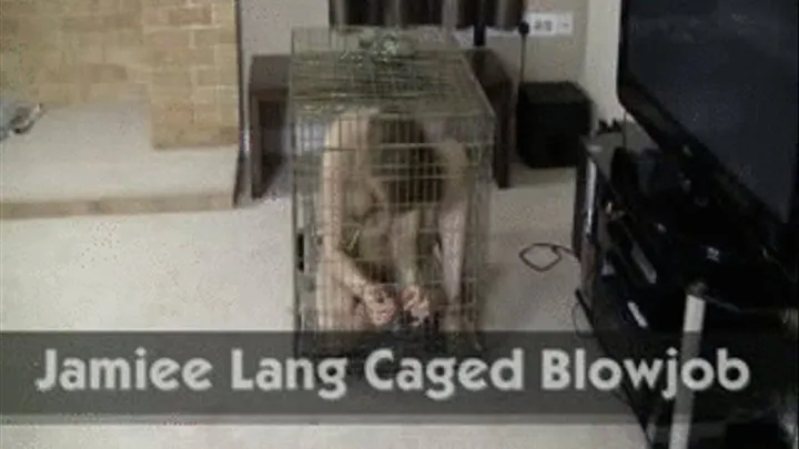 Jamiee Lang Caged Blowjob