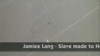 Jamiee Lang Slave Made to Compilation (Part 2)