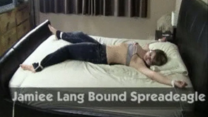 Jamiee Lang Bound Spreadeagle in Tight Jeans