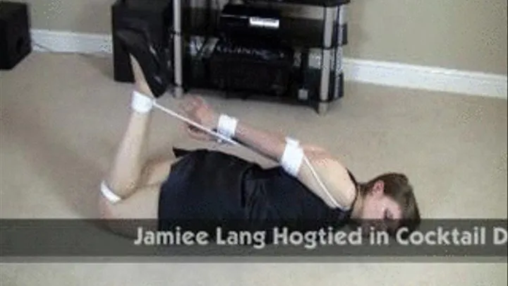 Jamiee Lang Hogtie Compilation 2