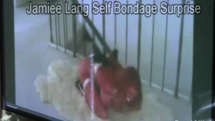 Jamiee Lang Self Bondage Surprise