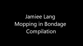 Jamiee Lang Mopping in Bondage Compilation