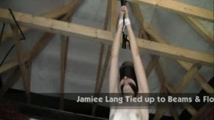 Jamiee Lang Tied up to Beams & Flogged in Garage