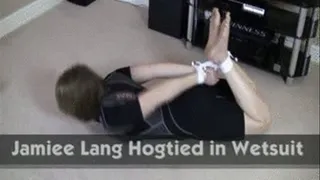 Jamiee Lang Hogtied in Wetsuit