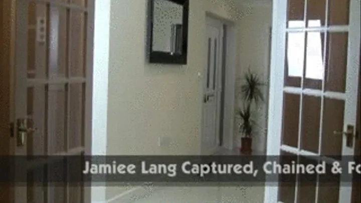 Jamiee Lang Captured, Chained, Spanked & Fondled