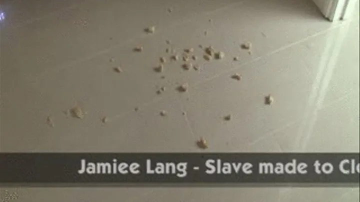 Jamiee Lang - Slave made to Clean up