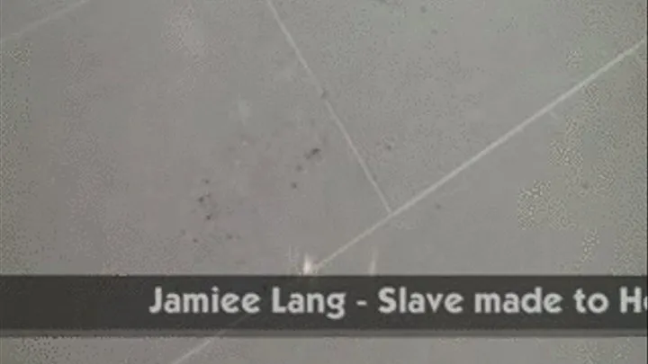 Jamiee Lang - Slave made to Hoover