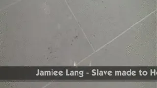 Jamiee Lang - Slave made to Hoover