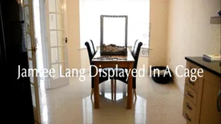 Jamiee Lang Displayed in a Cage