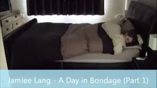 Jamiee Lang - A day in Bondage Compilation (Parts 1 - 3)