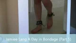 Jamiee Lang A Day in Bondage (Part 5)