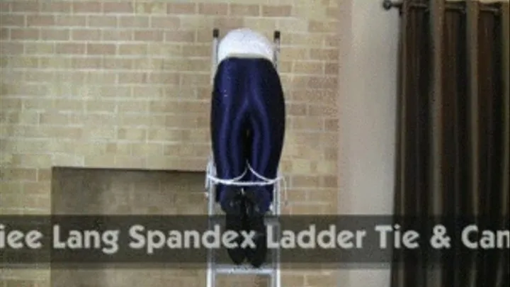 Jamiee Lang Spandex Ladder Tie & Caning