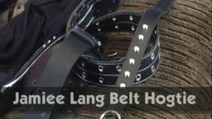 Jamiee Lang Belt Hogtie