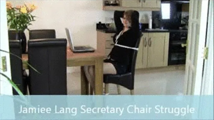 Jamiee Lang Secretary Chair Struggle