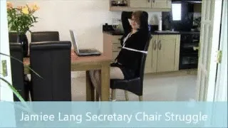 Jamiee Lang Secretary Chair Struggle